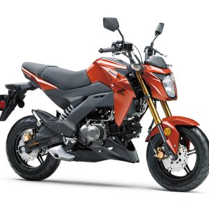 2025 Z125 PRO