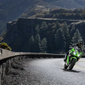 2026 NINJA® 500 Lime Green Gallery 3 300x300