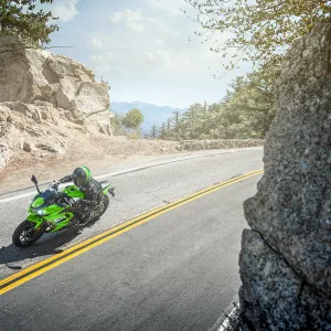 2026 NINJA® 650 Lime Green Gallery 3 300x300