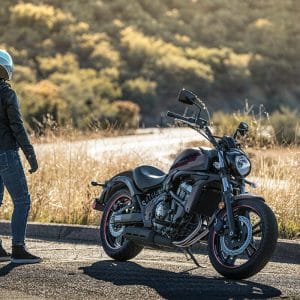 2025 vulcan® s